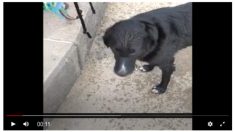 まだ帰りたくないよ〜