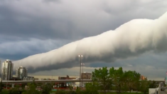 どこまでも続く・・・超巨大なロール雲が出現！