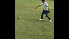 こんなことってある？ ゴルフ場でのハプニング