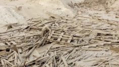 九死一生！ 洪水から生還した女性