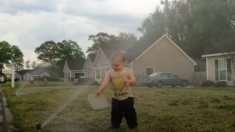 ヨチヨチ歩く子どもが大興奮！ 一人で水遊び