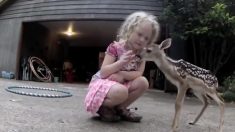小さな女の子に懐く、初々しい小鹿の動画を公開！
