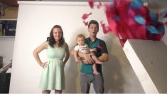 手作りとは思えない！ パパお手製の大スケールからくり