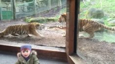 いつもの週末とは違う動物園の様子に、２歳の子供がビックリ！
