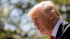 南北軍事境界線、米朝会談の最高舞台になり得る＝トランプ大統領