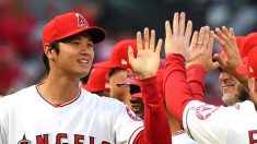 ＭＬＢ＝エンゼルス大谷、4月の月間最優秀新人に