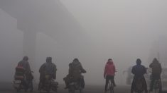 中国石家荘の大気汚染対策、火葬場や公衆トイレも規制対象に