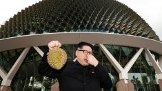 シンガポールに金正恩委員長現れる、そっくりさんと判明