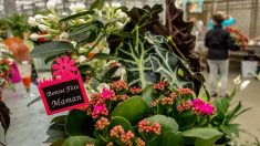 お母さんに感謝の気持ちを伝える「母の日」、あなたは何を贈りましたか？