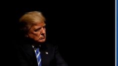 中国、企業に補助金支給を　貿易戦争に「自衛措置」＝環球時報