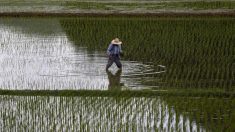 アングル：外国人労働者50万人増へ、深刻化する人手不足　政府の背中押す