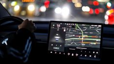 テスラ自動運転車死亡事故、ハンドル握られておらず＝米当局