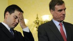 米上院議員、中国ＺＴＥとの和解見直しをトランプ大統領に要請