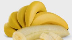 【夏バテ退散】バナナの持つ圧倒的効用