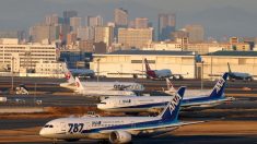 ＡＮＡ、エンジン点検で国内線330便追加欠航　8月は一部予約制限