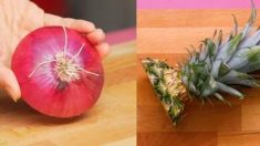 【趣味の園芸】プランターやペットボトルでつくる本格家庭菜園