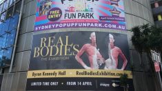 【シドニー】死体展示にドナー同意書と身分証明書なし　重大疑惑浮上