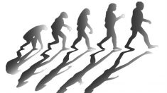 【人類の起源】中国起源説の決定的証拠「ダーリー・スカル」から新事実