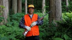 アングル：高齢化で何が起こるか、秋田に見る「日本の未来図」