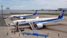 全日空、エンジン点検で6─12日に国内線113便欠航　約2万人に影響