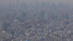 19年度物価1.5％と想定、18年度は1.1％と年初想定と変わらず＝内閣府試算で政府筋