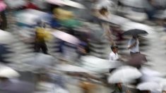 街角景気6月はやや持ち直し、ボーナス好調背景に購入単価上昇目立つ