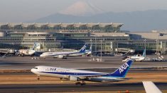 ＡＮＡ、エンジン点検で13日から22日まで176便を追加で欠航　3万6000人に影響