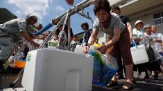 アングル：与党内に歳出拡大求める声、補正前倒し論も　地方票獲得で思惑