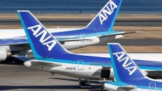ＡＮＡ、8月欠航は国内線378便　年内に改良型エンジンに交換