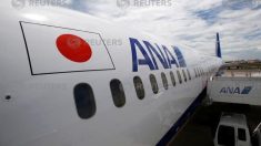 ＡＮＡ、9ー10月の欠航は国際線も一部対象に　エンジン点検で