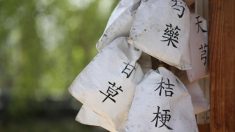 びっくりさせて病気を治す？　おもしろ漢方療法