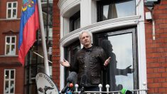 上院情報委員会が、ウィキリークスの創設者を証人喚問