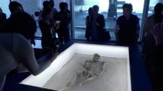 【メキシコ】7000年前のマヤ文明の遺跡　見つかる