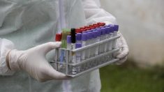 中国・河南省でアフリカ豚コレラ2例目確認＝農業農村省