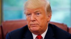 インタビュー：米朝首脳の再会談の可能性は「最も高い」＝米大統領