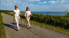 【健康】ボケ防止には足腰を鍛えよう！一卵性双生児研究から得られた知見