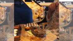 【グルメ】女の子の心まで溶けちゃう！トルコ発とろっとろチーズバーガー