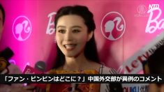 【動画ニュース】「ファン・ビンビンはどこに？」中国外交部が異例のコメント