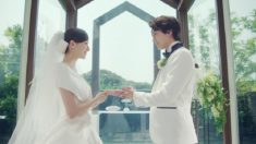 【マイナビウエディング】新CMに 新田真剣佑さんと 吉川愛さん起用