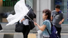 台風21号の死者10人に、関空復旧のめど立たず