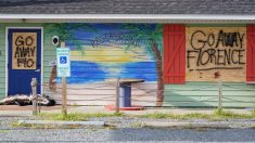 米ハリケーンで水族館職員に避難命令、生き物だけ残される事態に