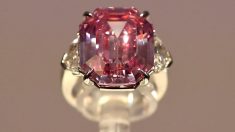 19カラットのピンクダイヤが競売へ、予想価格は最高56億円