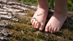 足を健康的にしたい？　小さい時から裸足で過ごそう