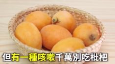 【漢方の世界】ビワは咳に効く？効かない？