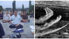 【ベトナム戦争】枯葉剤の後遺症に悩む男性を救ったのは‥‥