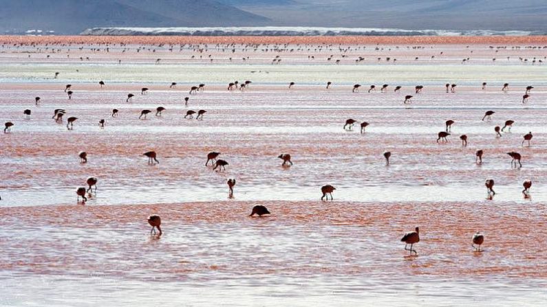 ラグナ・コロラダ　美しい紅白の絶景
