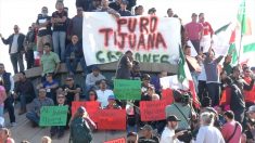 【動画ニュース】移民キャラバン 国境の町に続々到着 メキシコで不法移民反対の抗議デモ