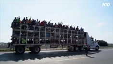 【動画ニュース】５千人規模の移民キャラバン　米国を目指して北上中