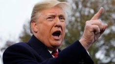 コラム：19年日本経済、トランプ大統領の出方で決まる天国と地獄