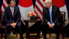 安倍首相がＧ20出席に合わせて米中ロ首脳と会談＝菅官房長官